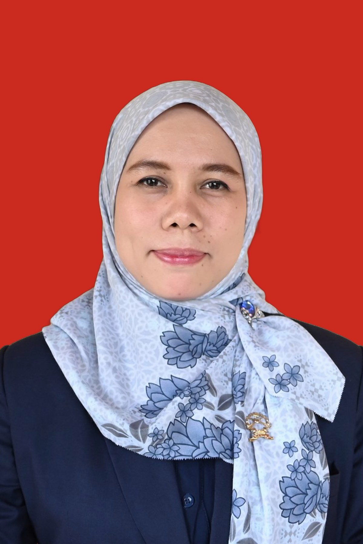 KETUA afni